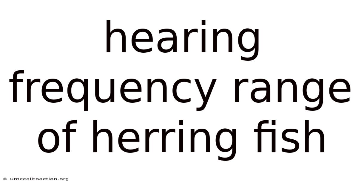 Hearing Frequency Range Of Herring Fish