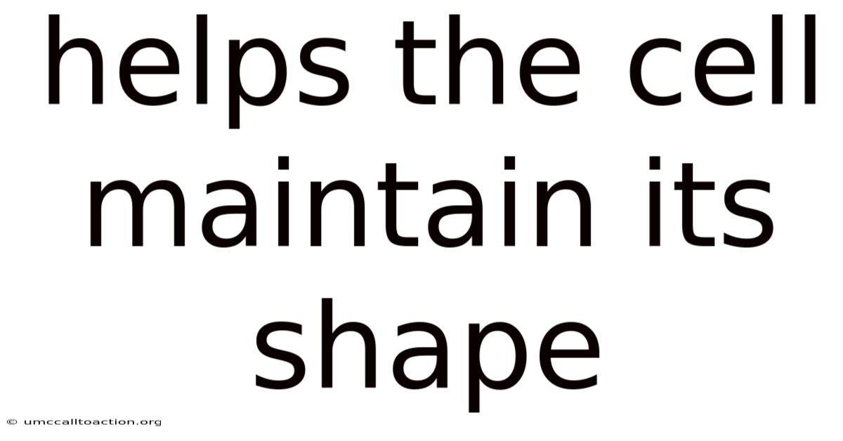 Helps The Cell Maintain Its Shape
