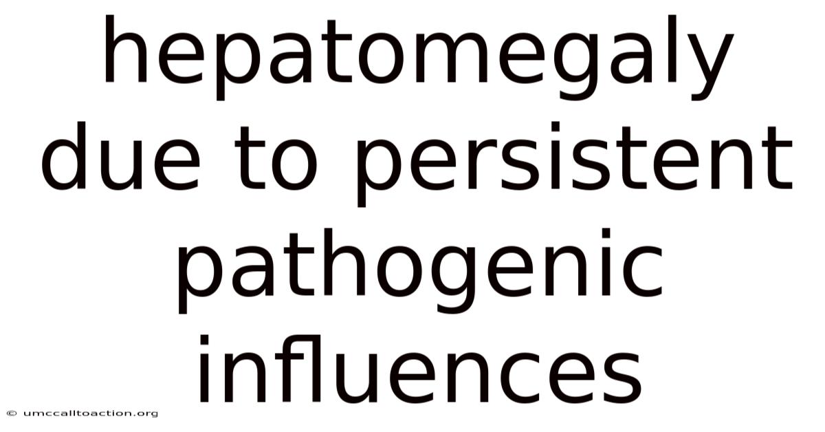 Hepatomegaly Due To Persistent Pathogenic Influences