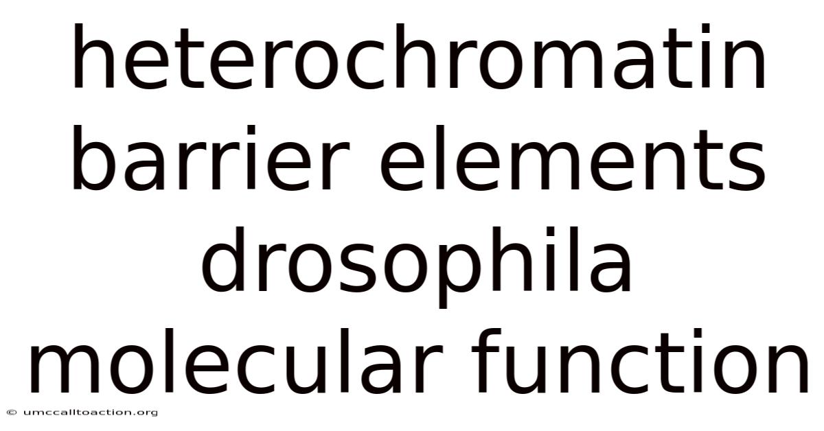 Heterochromatin Barrier Elements Drosophila Molecular Function