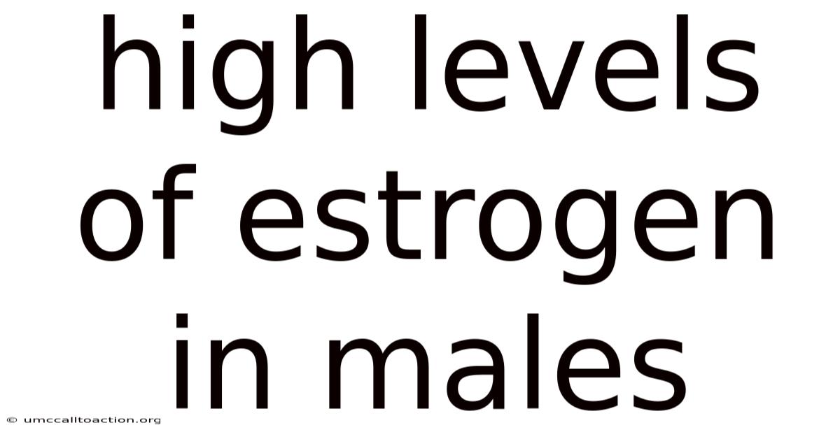 High Levels Of Estrogen In Males