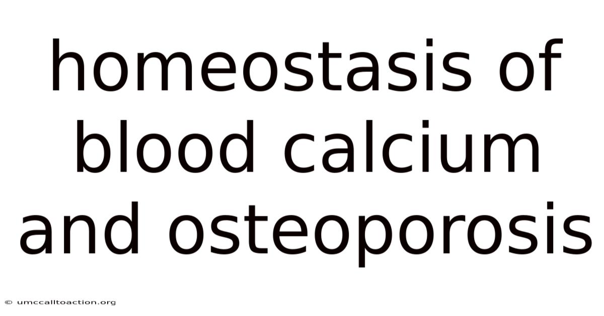 Homeostasis Of Blood Calcium And Osteoporosis