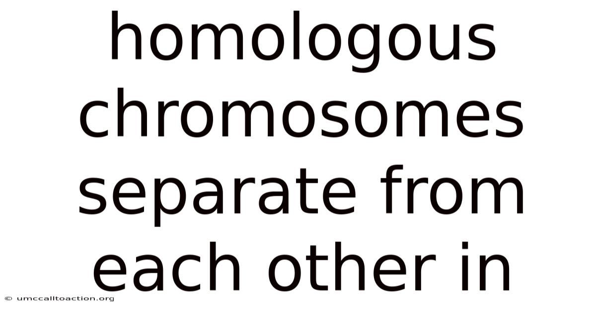 Homologous Chromosomes Separate From Each Other In