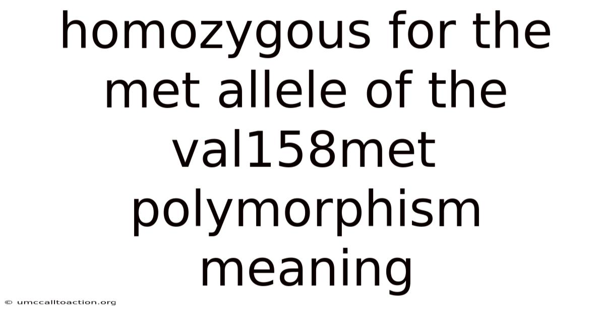 Homozygous For The Met Allele Of The Val158met Polymorphism Meaning
