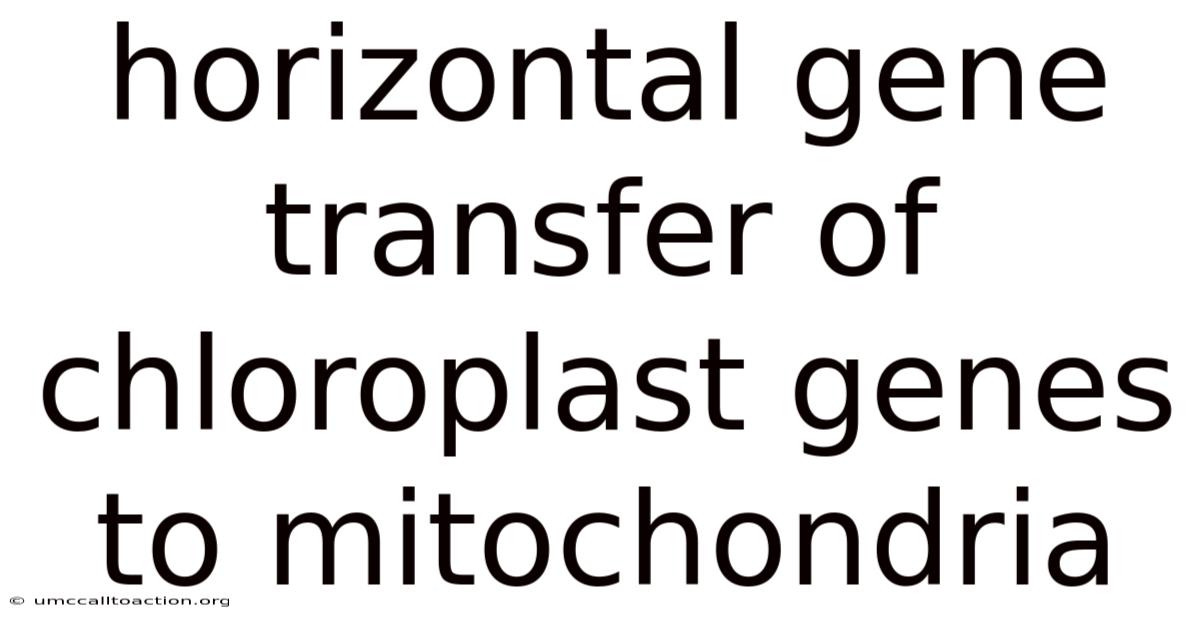 Horizontal Gene Transfer Of Chloroplast Genes To Mitochondria