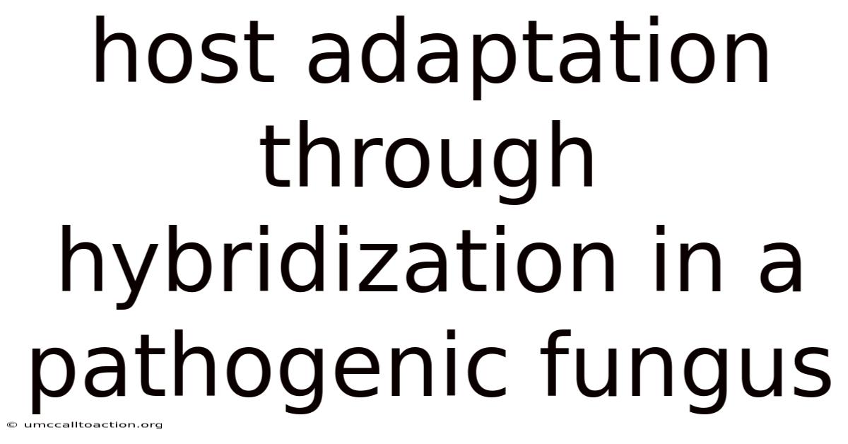 Host Adaptation Through Hybridization In A Pathogenic Fungus