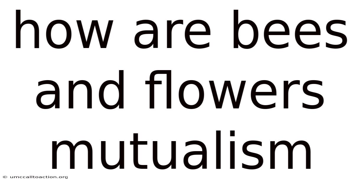 How Are Bees And Flowers Mutualism