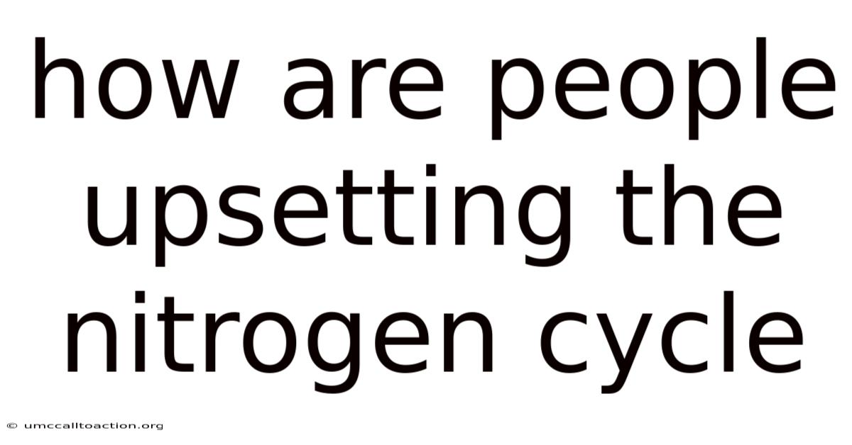 How Are People Upsetting The Nitrogen Cycle