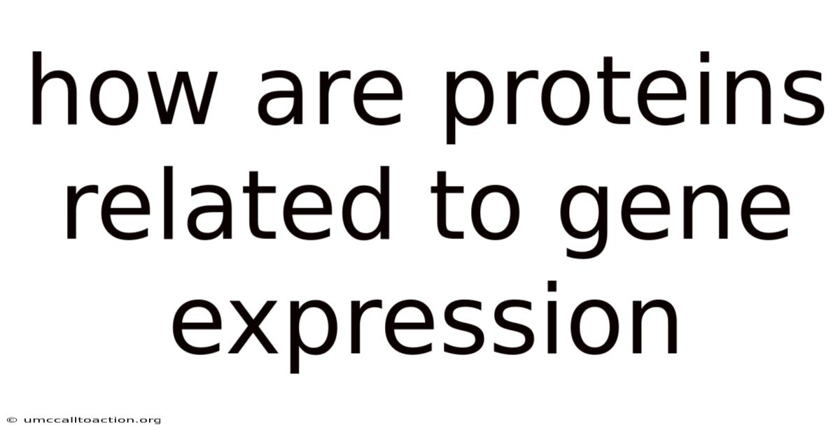 How Are Proteins Related To Gene Expression