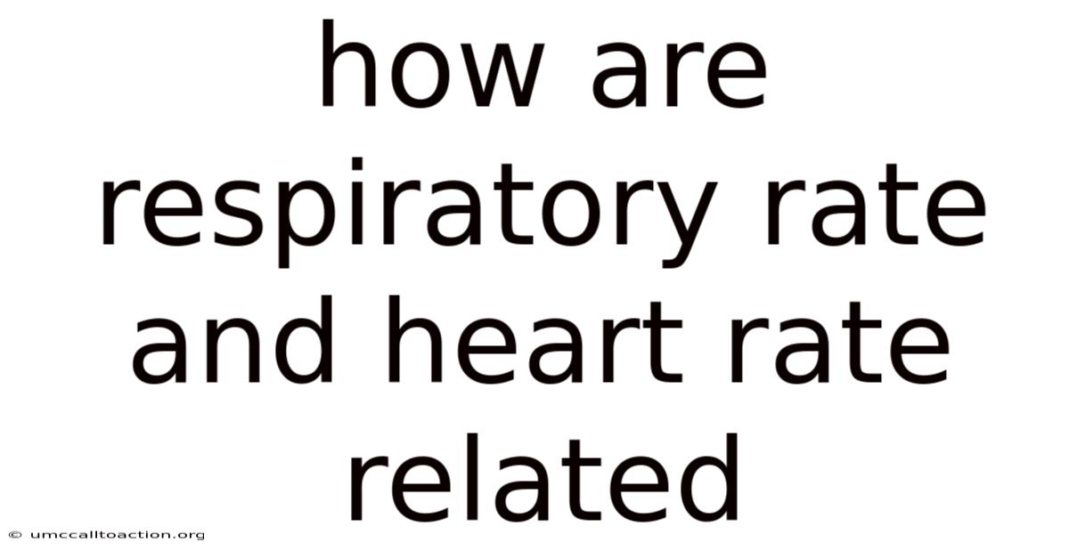 How Are Respiratory Rate And Heart Rate Related