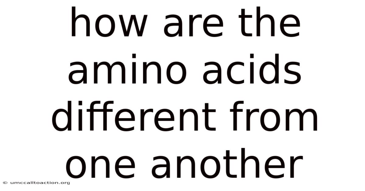 How Are The Amino Acids Different From One Another