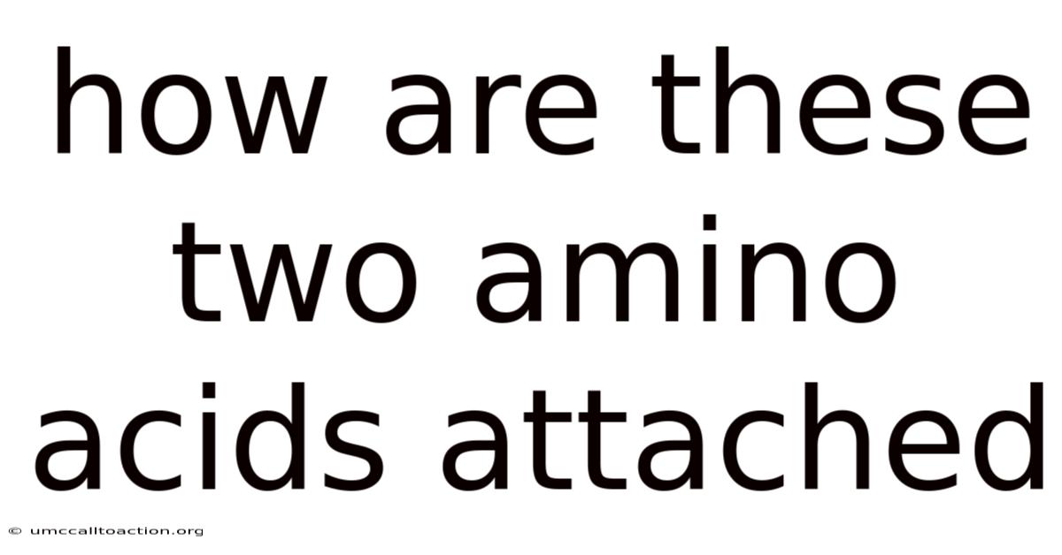How Are These Two Amino Acids Attached