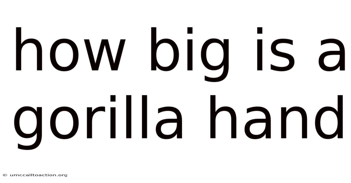 How Big Is A Gorilla Hand