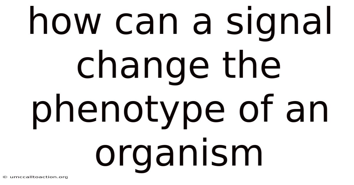 How Can A Signal Change The Phenotype Of An Organism