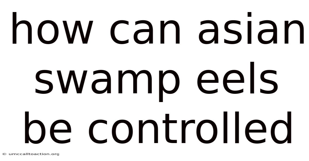 How Can Asian Swamp Eels Be Controlled