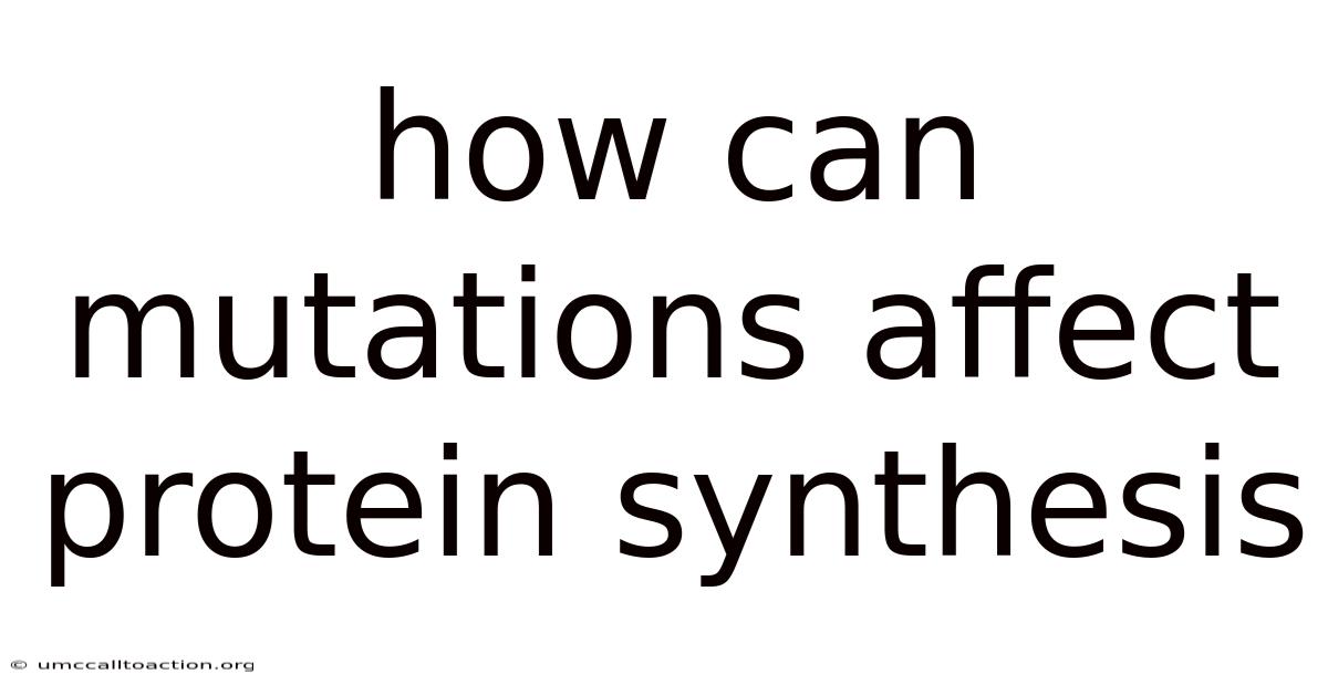 How Can Mutations Affect Protein Synthesis