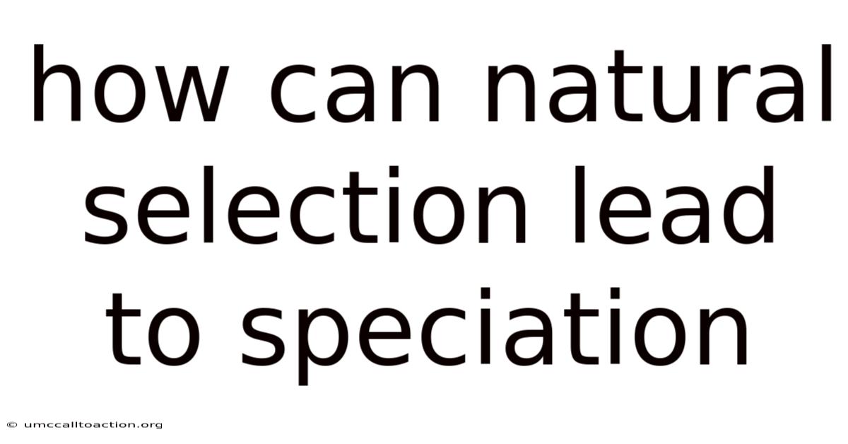 How Can Natural Selection Lead To Speciation