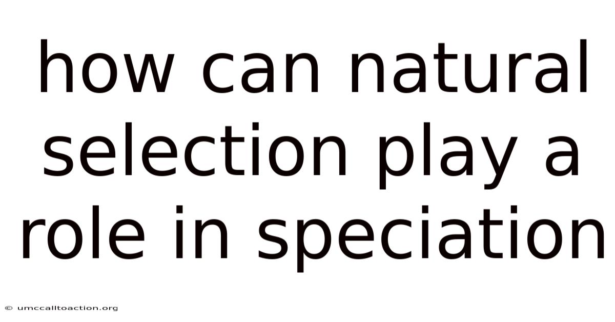 How Can Natural Selection Play A Role In Speciation