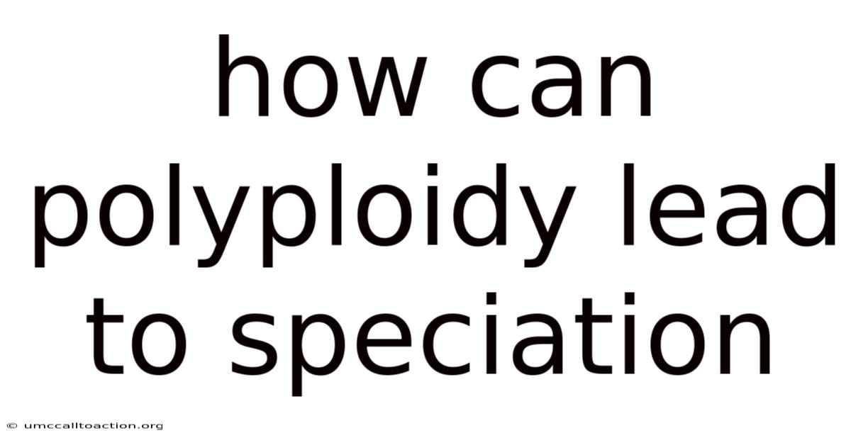 How Can Polyploidy Lead To Speciation