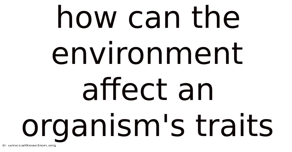 How Can The Environment Affect An Organism's Traits
