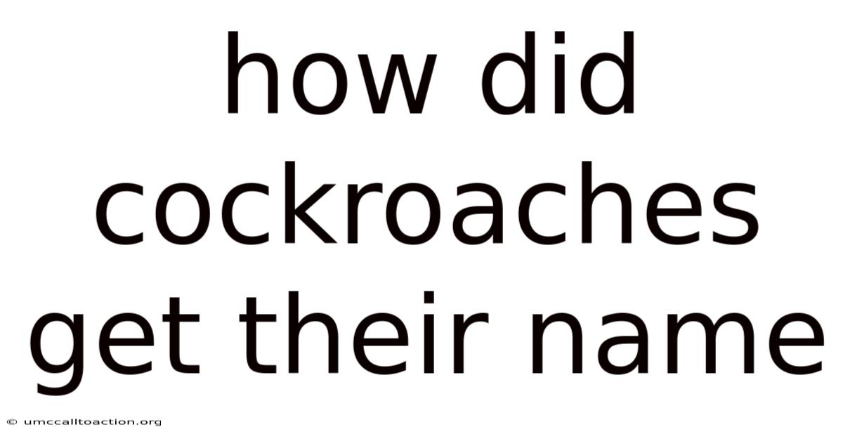 How Did Cockroaches Get Their Name