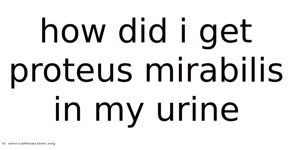 How Did I Get Proteus Mirabilis In My Urine