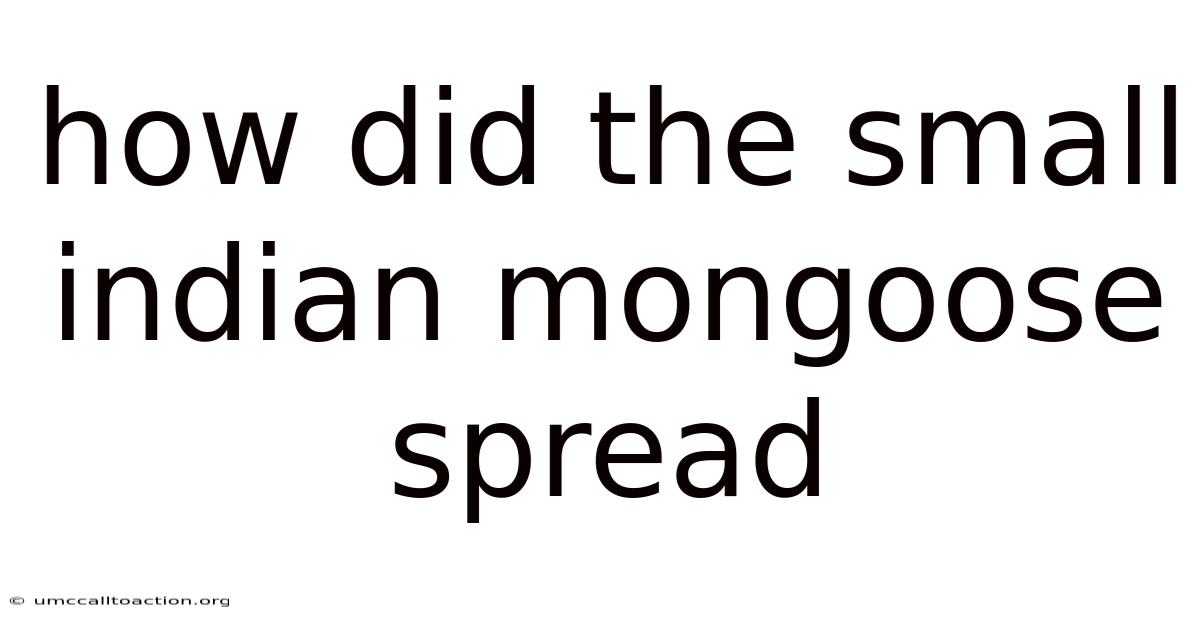 How Did The Small Indian Mongoose Spread