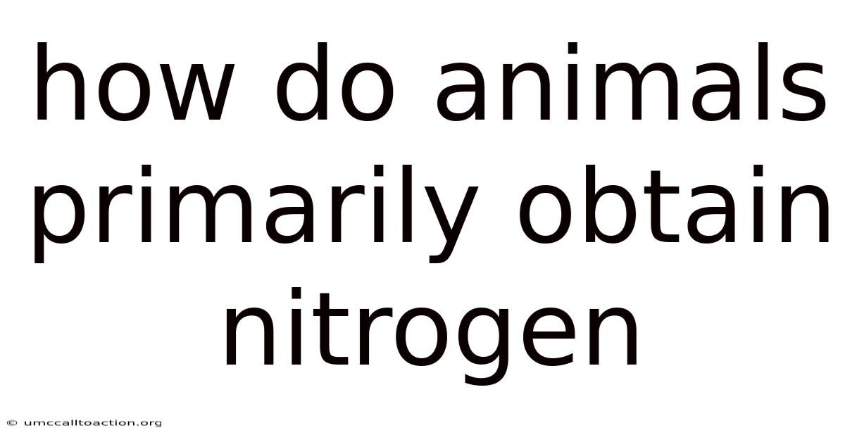 How Do Animals Primarily Obtain Nitrogen
