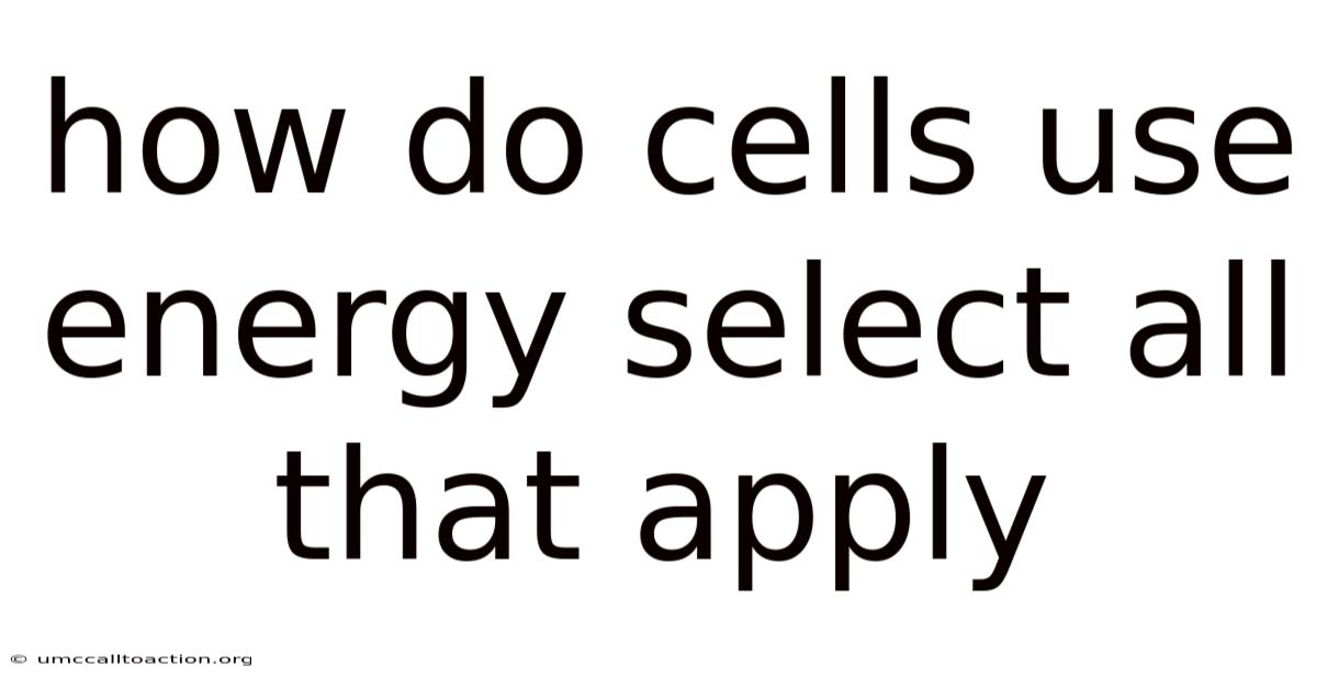 How Do Cells Use Energy Select All That Apply