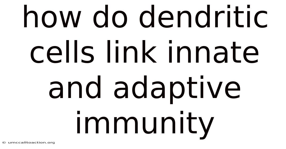 How Do Dendritic Cells Link Innate And Adaptive Immunity