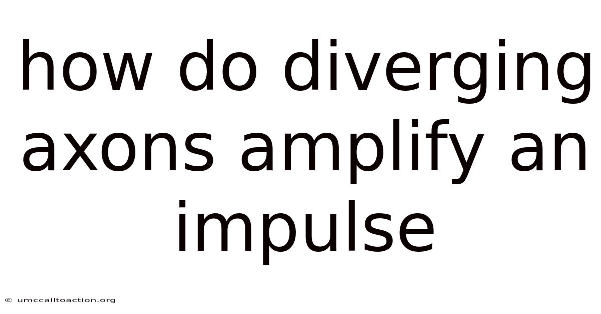 How Do Diverging Axons Amplify An Impulse