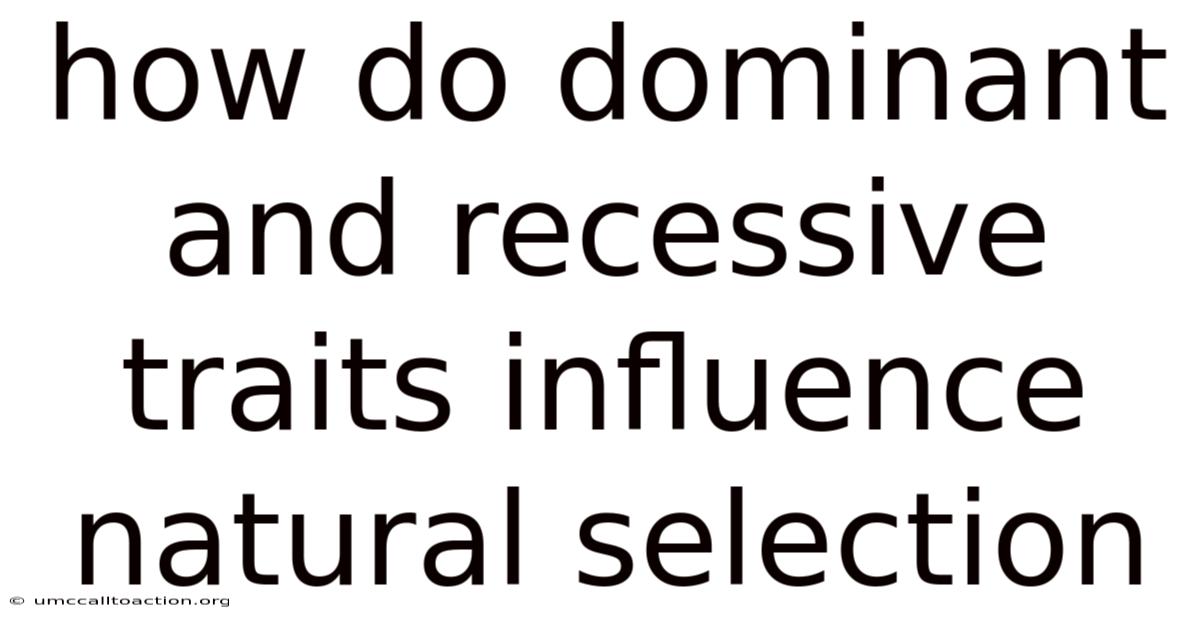How Do Dominant And Recessive Traits Influence Natural Selection