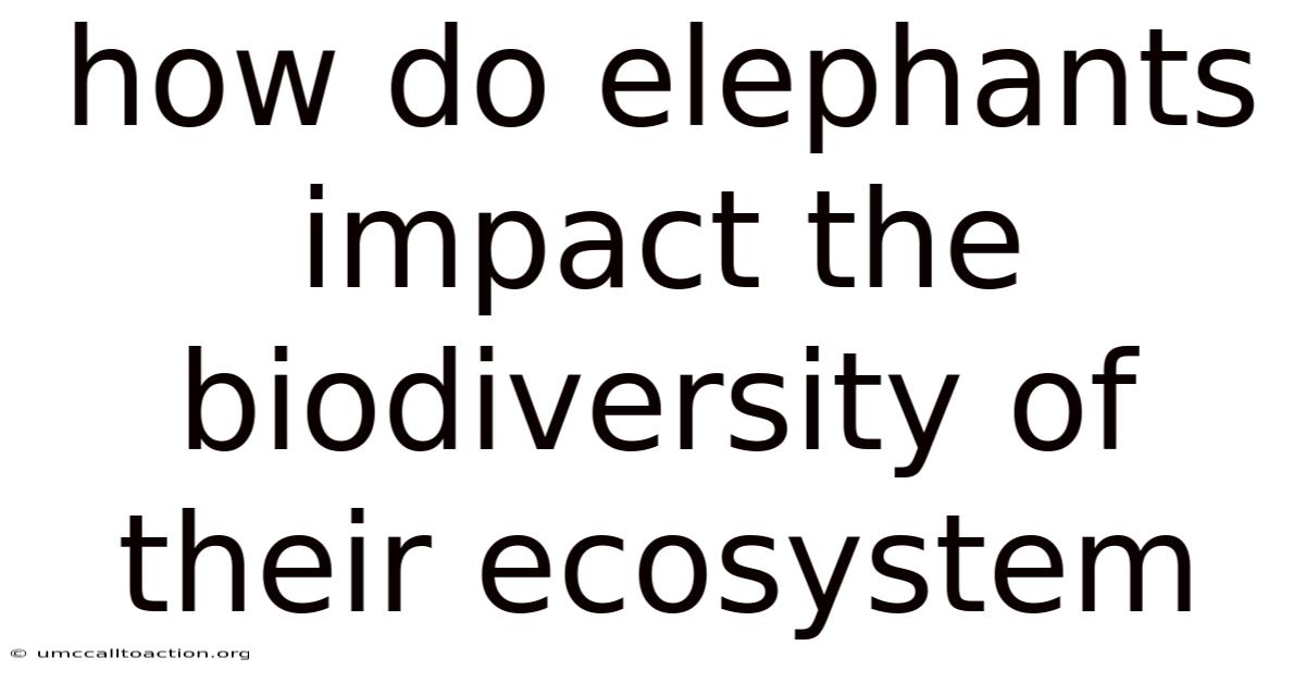 How Do Elephants Impact The Biodiversity Of Their Ecosystem