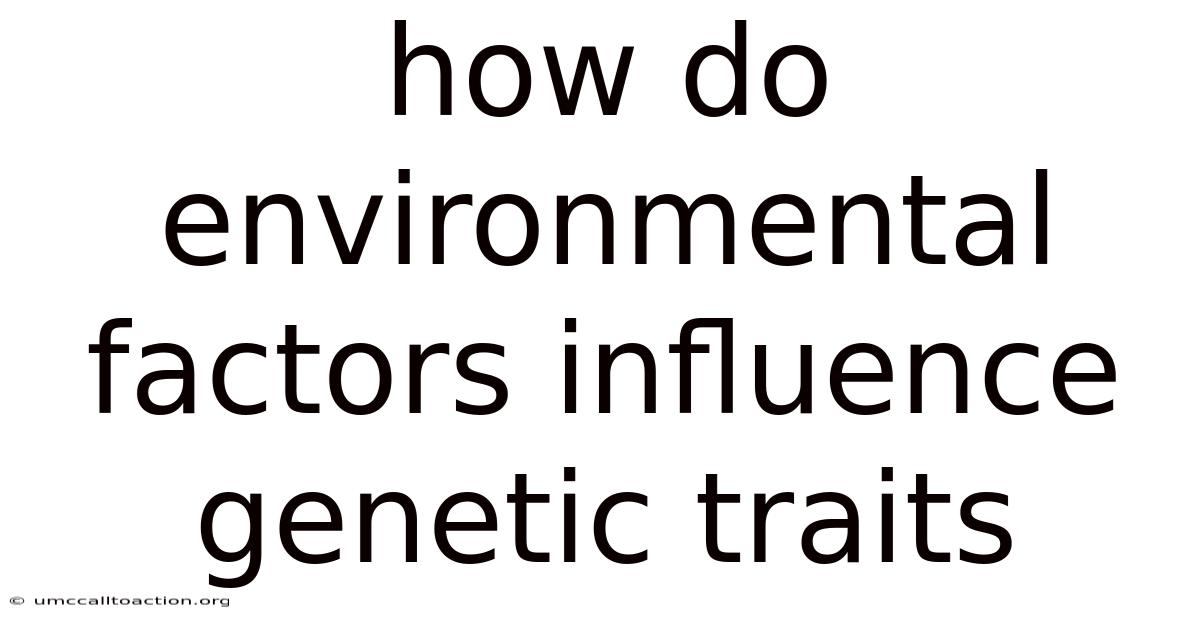 How Do Environmental Factors Influence Genetic Traits
