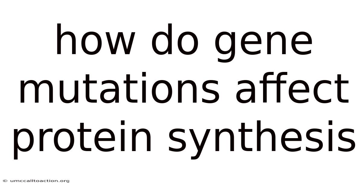 How Do Gene Mutations Affect Protein Synthesis