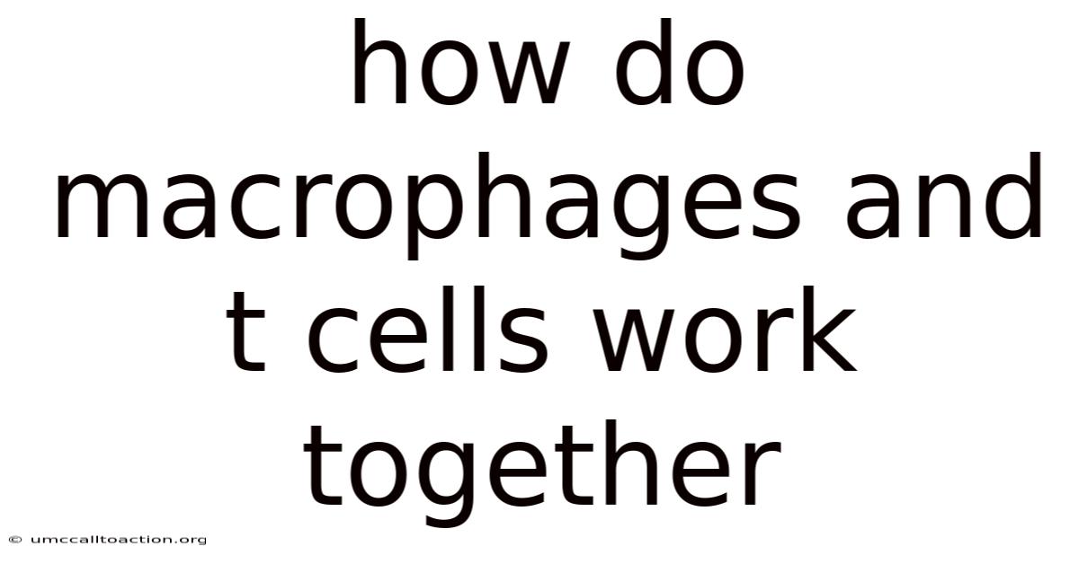 How Do Macrophages And T Cells Work Together