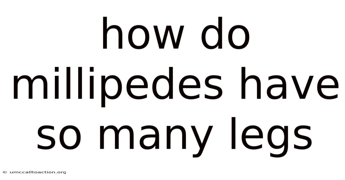 How Do Millipedes Have So Many Legs