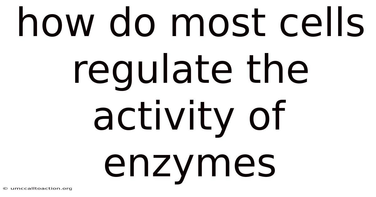 How Do Most Cells Regulate The Activity Of Enzymes