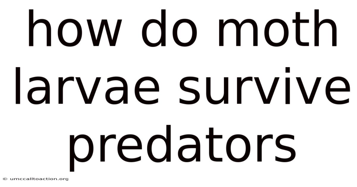 How Do Moth Larvae Survive Predators