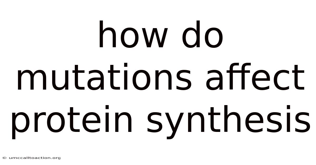 How Do Mutations Affect Protein Synthesis