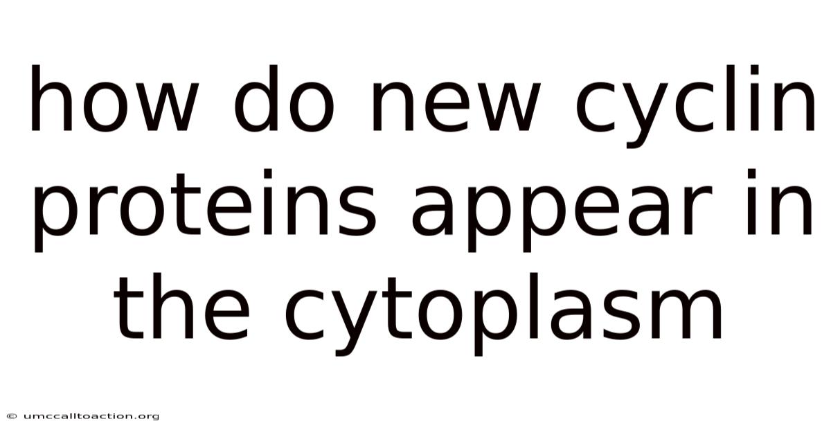How Do New Cyclin Proteins Appear In The Cytoplasm
