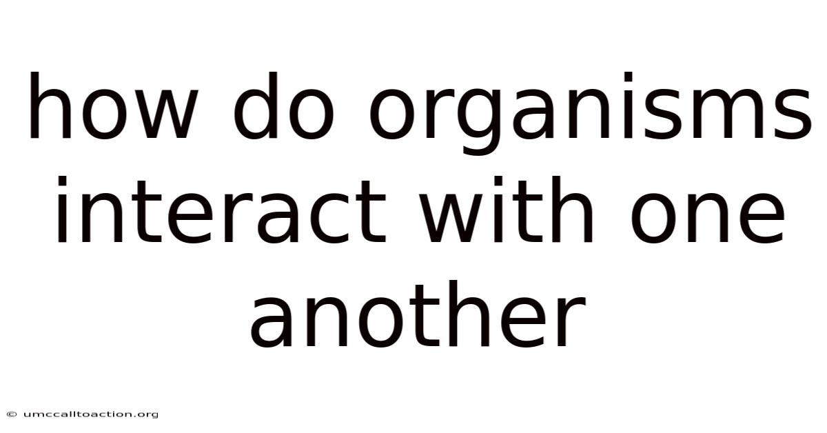 How Do Organisms Interact With One Another
