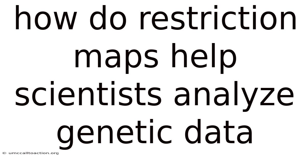 How Do Restriction Maps Help Scientists Analyze Genetic Data