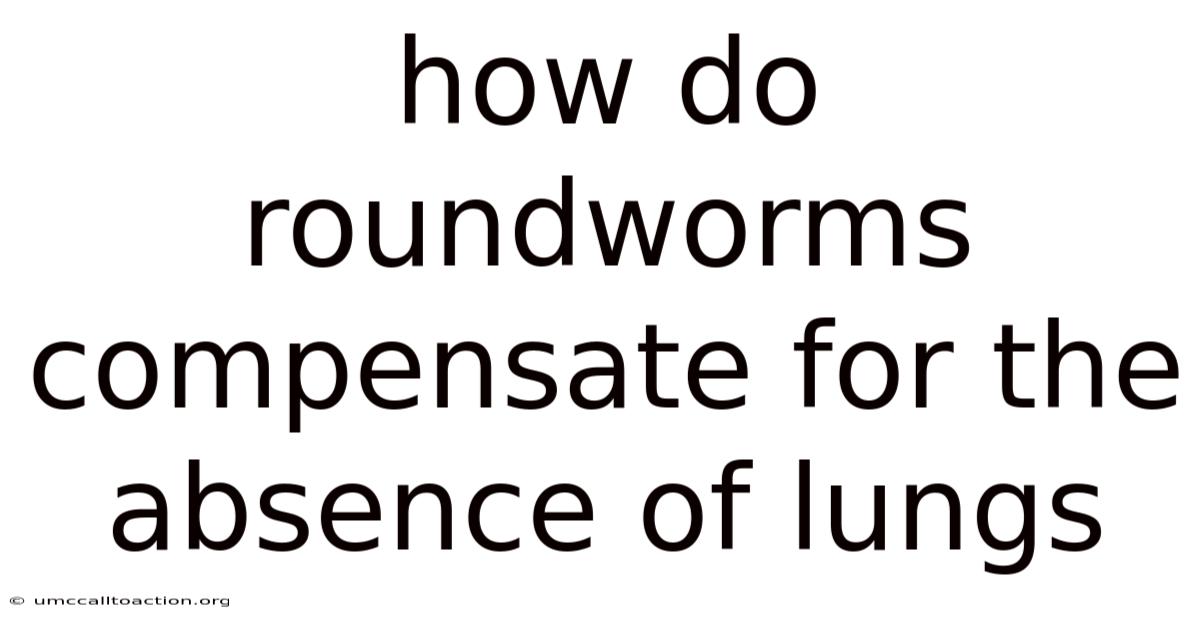 How Do Roundworms Compensate For The Absence Of Lungs