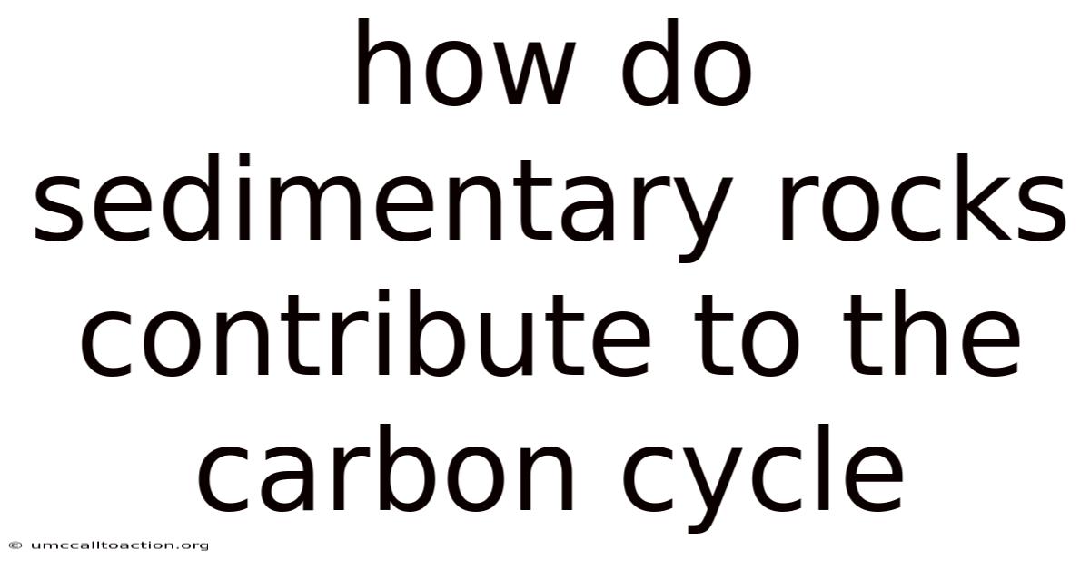 How Do Sedimentary Rocks Contribute To The Carbon Cycle