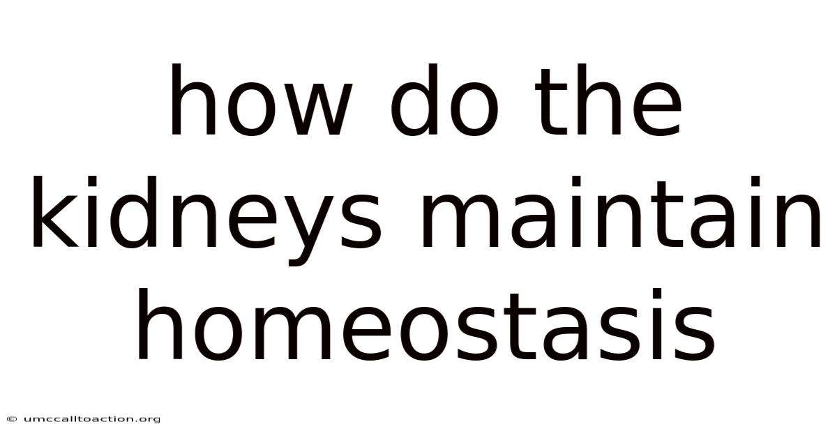 How Do The Kidneys Maintain Homeostasis