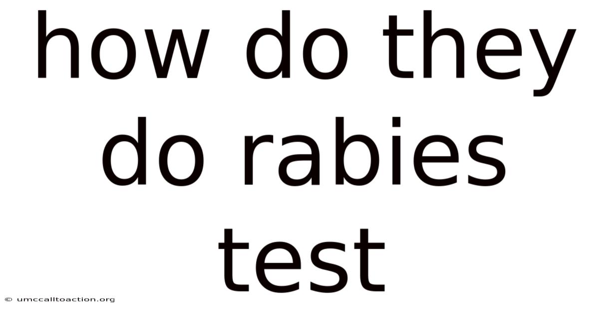 How Do They Do Rabies Test
