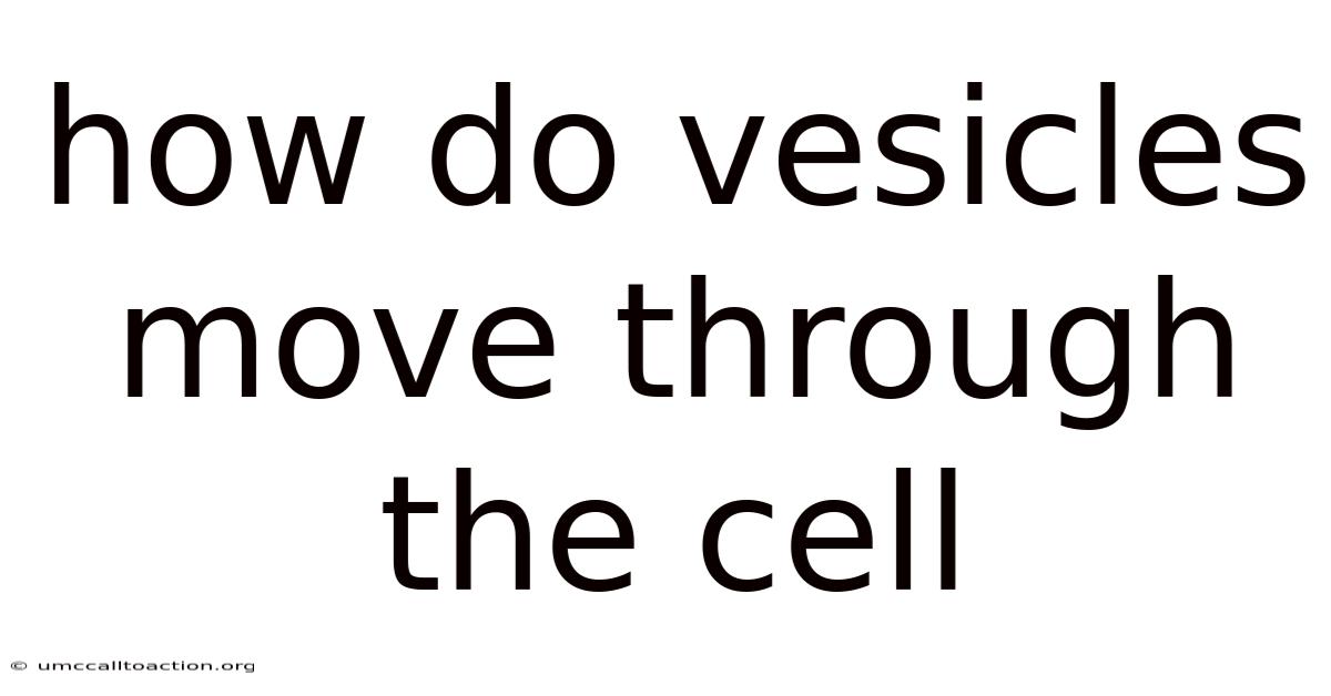 How Do Vesicles Move Through The Cell