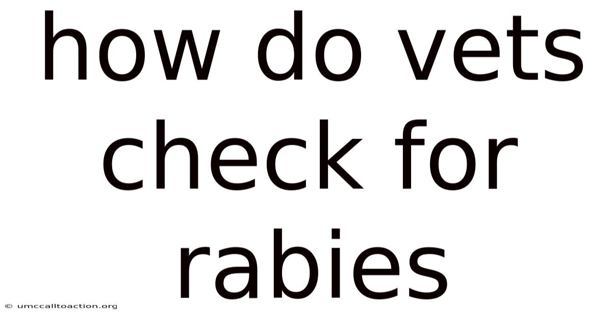 How Do Vets Check For Rabies