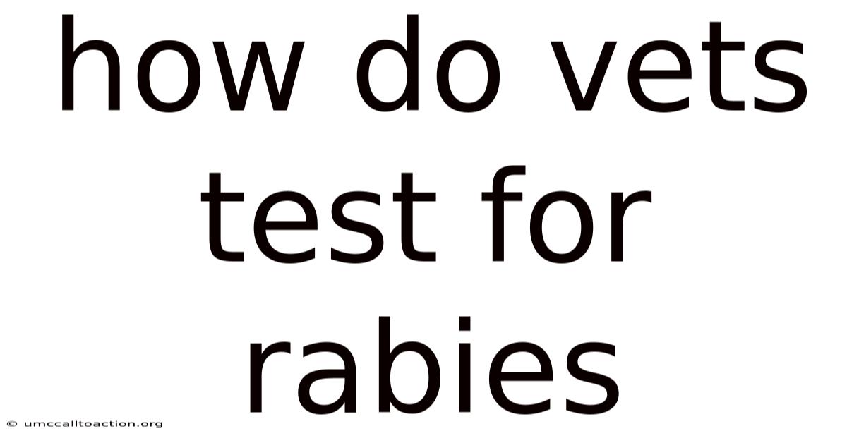 How Do Vets Test For Rabies